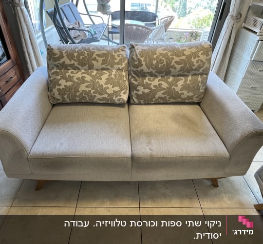 ספה אפורה עם כריות דוגמת עלים בסלון